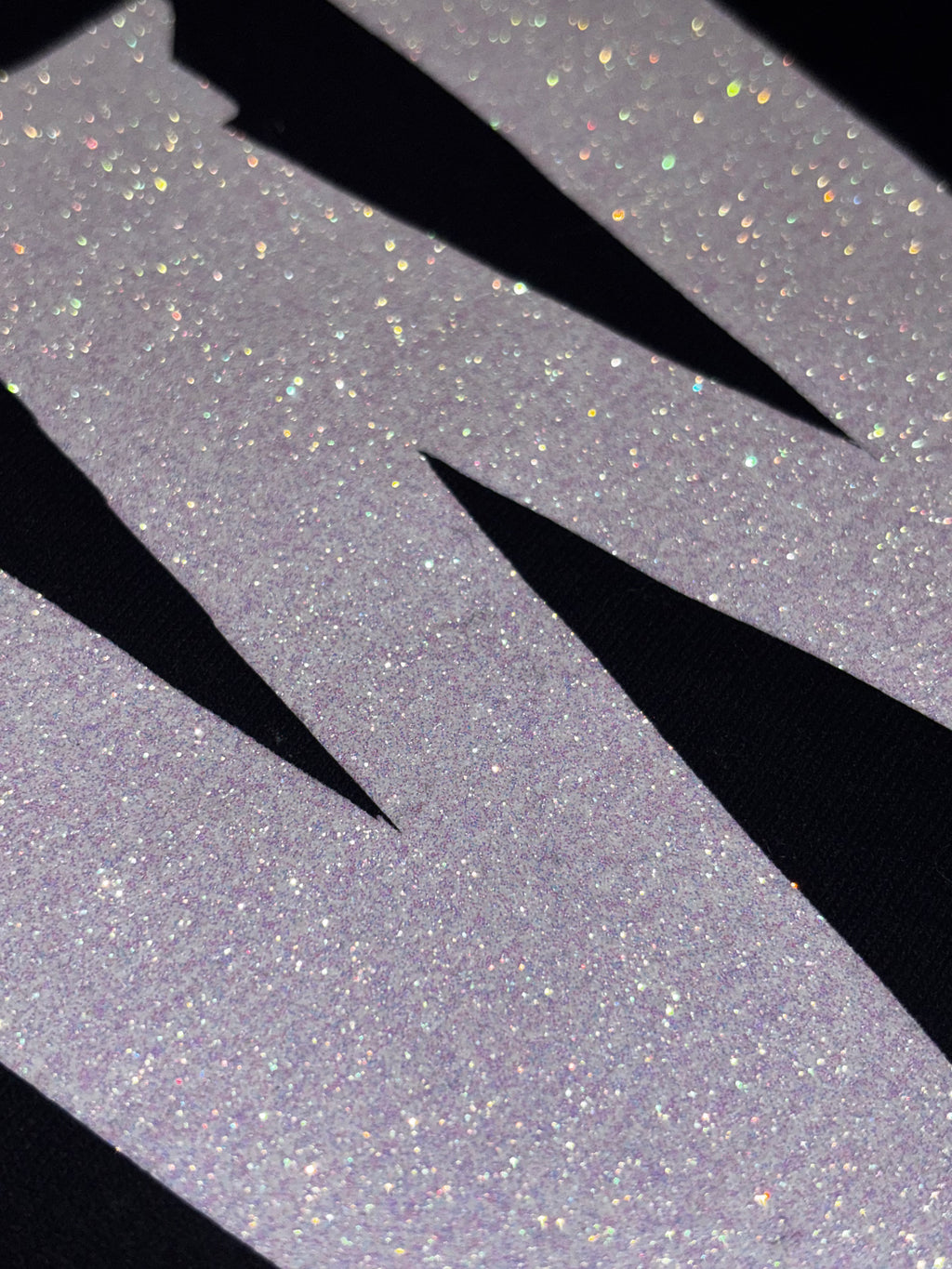 WINNIPEG crewneck - white sparkle