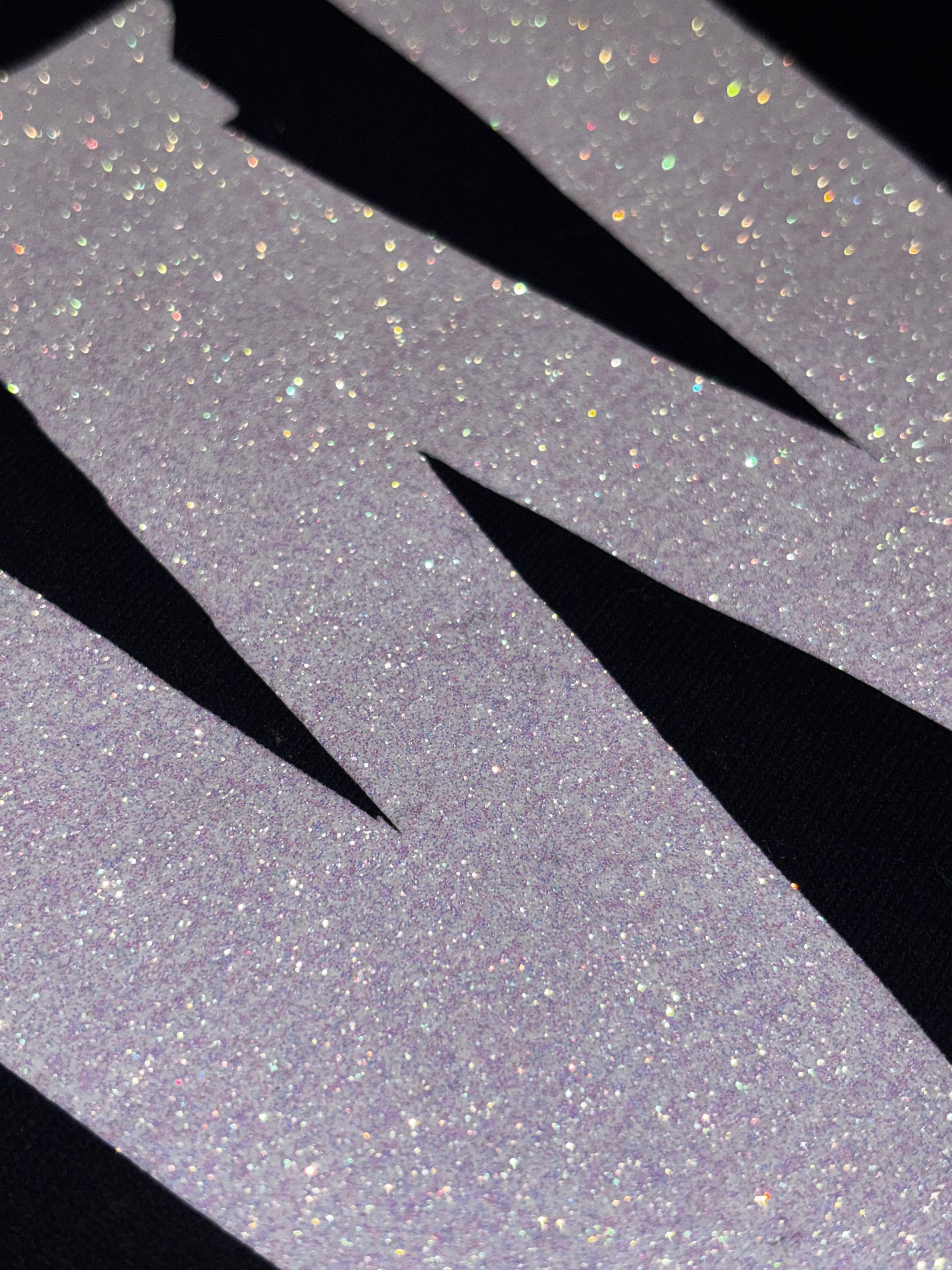 WINNIPEG hoodie - white sparkle