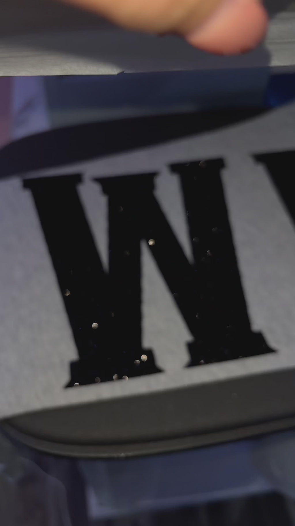 WINNIPEG hoodie - Black sparkle